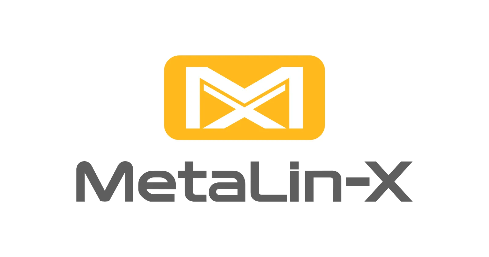 Industrial Metaverse in Machine Building: MetaLin-X