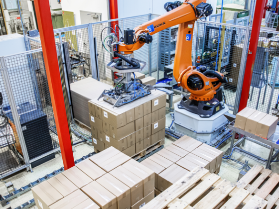 Palettierroboter bei Rupp Food: Automatisierung mit twin